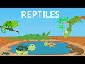 En savoir plus sur les reptiles  vido sur les reptiles pour les enfants