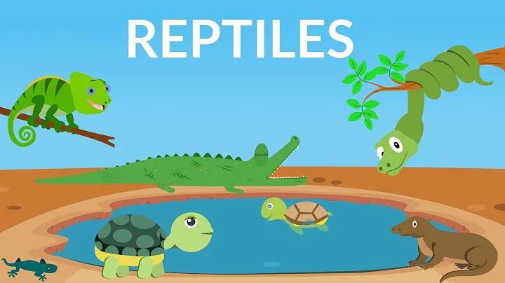 Learn about Reptiles || Reptiles Video for Kids - DayDayNews