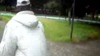 video stupidissimo