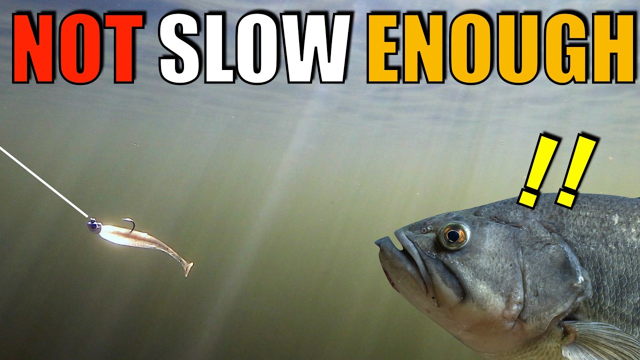 Why You are Still Fishing TOO FAST: This Line will Slow You Down, Truly.