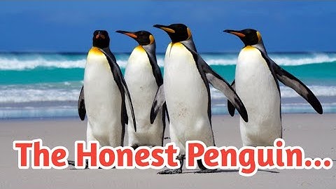 Penguin chicks rescued by unlikely hero | Spy in the Snow - BBC