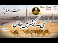 Best naat 2020  nabi kay shehar main jaon  hafiz abdur razzaq  islamic releases