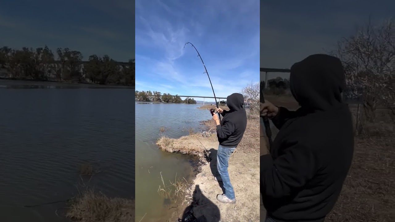 catching a sturgeon in the bay area!!