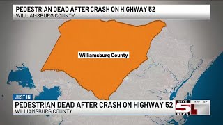 VIDEO: Late-night auto-pedestrian collision leaves one dead