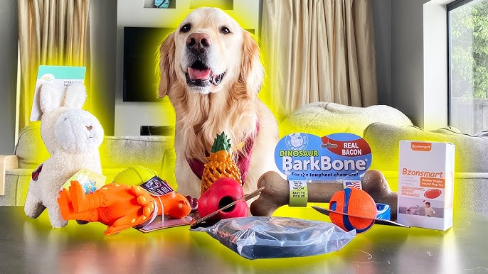 Pet Supplies : PetSafe Ricochet - Electronic Squeaking Dog Toy - 2 Paired  Toys Squeak to Keep Dogs Busy - Engaging Puzzle for Bored, Anxious or  Energetic Pets, Multicolor, 4.2 x 3.4 (