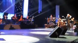 Saban Saulic - Dva Galeba Bela - Live Koncert Sava Centar 2013 - Vip