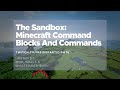 Minecraft Commands and Villager Mechanics
