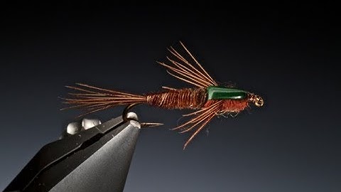 Tying a Pheasant tail stone fly nymph with Barry Ord Clarke