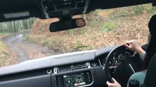 Land Rover Experience - off road with the Range Rover 4.2 2016 in Devon