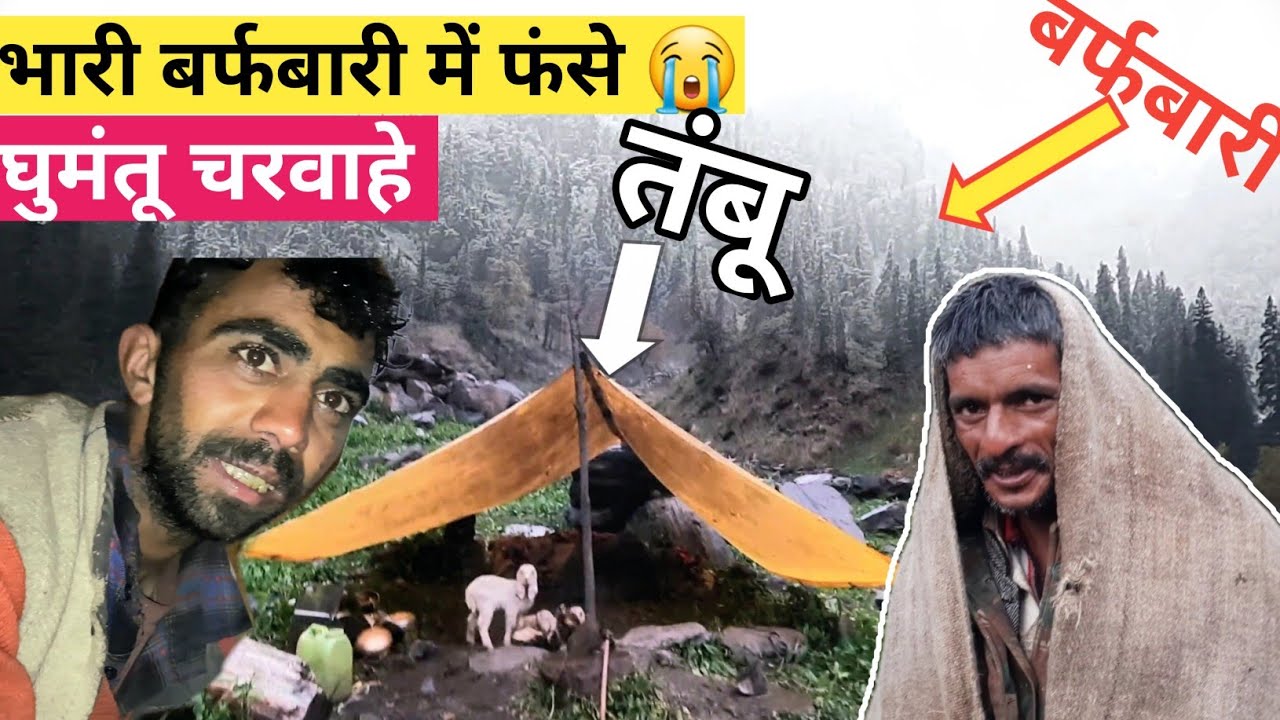 Heavy Storm, Rain, Snowfall and NOMADIC SHEPHERD In Jungle. सिर से पांव तक भीग गए @Himachalilife