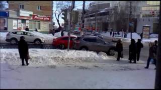 В центре Курска бездомные собаки создают угрозу ДТП В центре Курска бездомные собаки создают угрозу ДТП