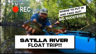 SATILLA RIVER FLOAT TRIP FOR GIANT ROOSTER REDBREAST!!! WHERE TO PUT IN AND TAKE OUT TO CATCH FISH!