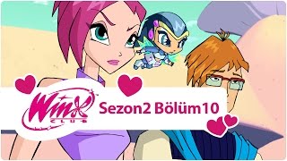 Winx Club - Sezon 2 Bölüm 10 - Kodeksin Mahzeni