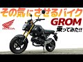 新型グロム乗ってみた!その気にさせるバイクだ!【モトブログ】ホンダ GROM 125 MOTORCYCLE REVIEW in JAPAN