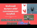 Майский выпуск о николаевских голубях с подробностями