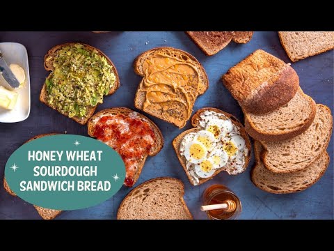 Honey Wheat Sandwich Bread — My Journey Back to Basics