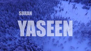 Surah Yasin (Yaseen) | By Abdallah Humeid | English translation | Nature bagrounds |