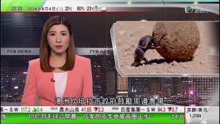 無綫TVB 1000一小時新聞汪文斌將任中國駐柬埔寨大使巴黎艾菲爾鐵塔下出現多副棺材有烏克蘭相關字眼 三人涉案被捕澳洲坎培拉市政府鼓勵農場引入糞甲蟲以改善土質20240604 TVB News