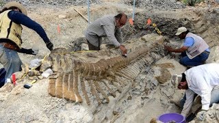 Самые удивительные находки, которые оказались динозаврами: От «воробушков» до древних гигантов