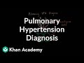 Understanding Pulmonary Hypertension Diagnosis