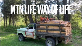 Cutting and splitting firewood!