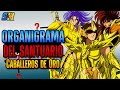 ORGANIGRAMA del SANTUARIO #3 (Santos DORADOS) | Star Hill