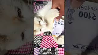 https://youtube.com/shorts/QWRoeZ75MZ8?si=53gtPEZW0Fx_yGpN https://youtube.com/shorts/QWRoeZ75MZ8?si=53gtPEZW0Fx_yGpN