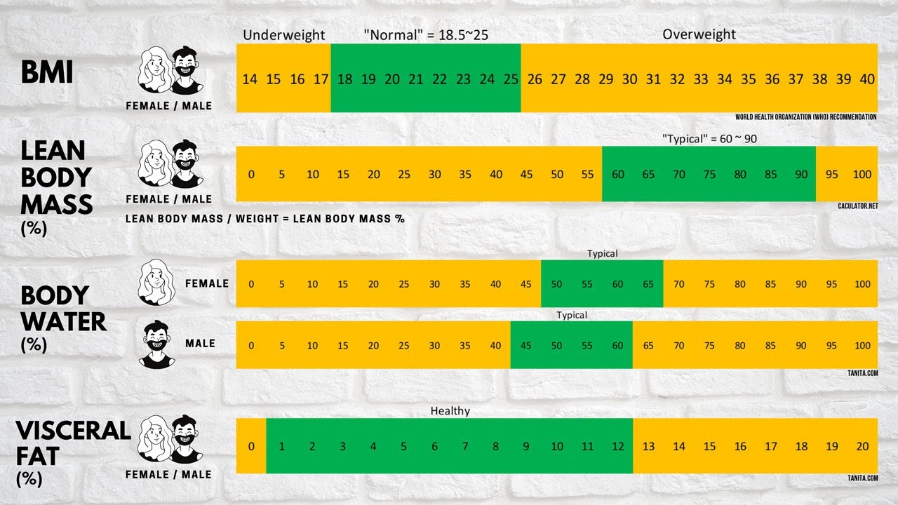 Wyze Scale: Unbeatable Value