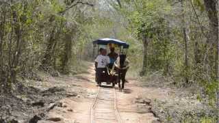 See the Yucatan, find Maya culture, forget the apocalypse