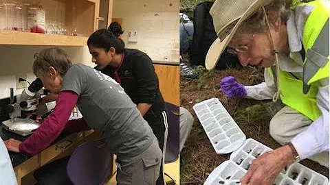 Everyone Counts! Citizen Science and the Power of Crowds!