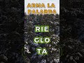 Letras rebeldes en pantalla 😵‍💫🔡