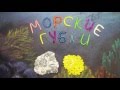 Морские губки. Porifera. Пластилиновый познавательный мультфильм. Plasticine Animation.