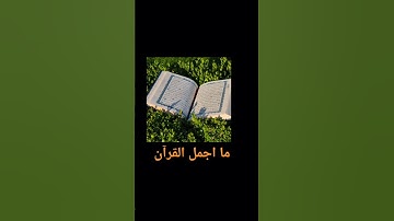 ما اجمل القرآن #quran #مصحف_الشمرلي #قران #تلاوة #10ساعات_قرآن_كريم #duet #explore #اكسبلور #ترند