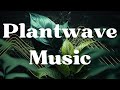 Earth day special  plantwave music chloroethereal  relaxing music made by plants