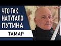 Израильский военный: что происходит на Донбассе? Тамар: Украина - полигон США перед "Китаем"...