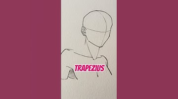 Drawing neck for 3/4 perspective || Jmarron