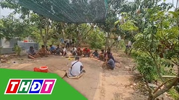 Bắt quả tang 15 đối tượng đá g:à ăn thua bằng tiền ở huyện Lấp Vò | THDT