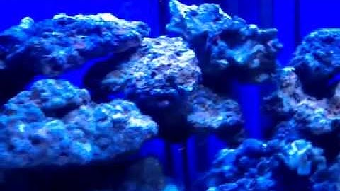 video med ps hyperion r2_x264.mp4