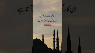 Urdu Poetry ! #new #Shayrinaat #nazm #shayri #urdu #viral #shorts #vidio #islamic #islamicstatus