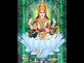 Maa shardhe kha tu veena baja rhi hai#saraswati #saraswatipuja #sarswatimaasong #pooja #2026