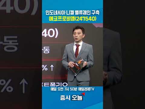 [증시 오늘] 인도네시아 니켈 벨류체인 구축 에코프로비엠 (247540)