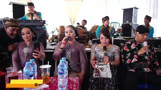 Download Lagu SRI TANJUNG GUNUNG  #  DEWA RUCI  Campursari # BSS Audio MP3 Download Lagu SRI TANJUNG GUNUNG  #  DEWA RUCI  Campursari # BSS Audio MP3