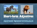 Intermediate Russian: Short-form Adjectives