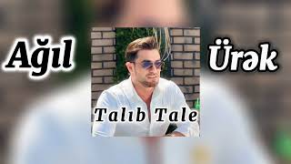 Talıb Tale-Ağıl Ürək(speed up)