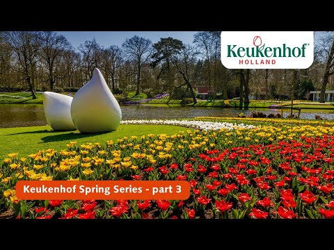 Keukenhof Spring Series part 3 | Keukenhof 2021🌷