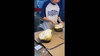 how to cut durian fruit