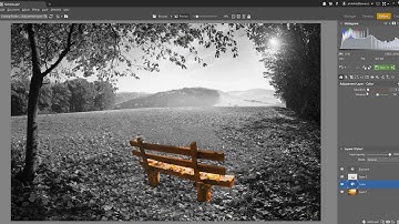 How to Use Adjustment Layers in ZPS X