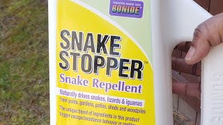 How to Get Rid of Snakes Quick and Easy | DIY by AKIYIAKELLY 162 views 3 weeks ago 1 minute, 15 seconds