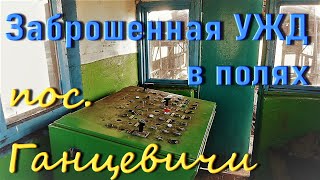 видео: УЖД Ганцевичи (ТБЗ  картинка: УЖД Ганцевичи (ТБЗ
