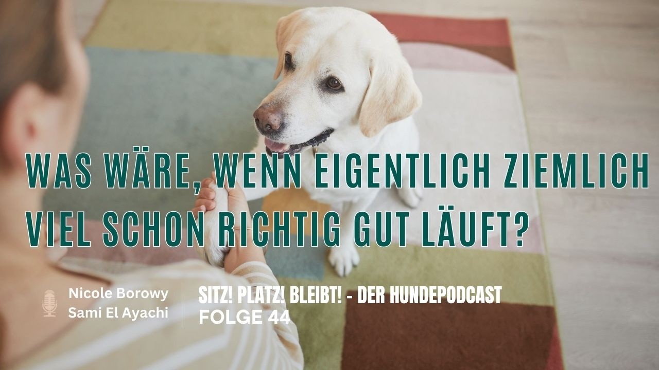 #44 Was wäre, wenn eigentlich ziemlich viel schon richtig gut läuft?